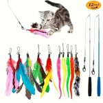 12PCS SET Pet Cat Toys Colorful Feather Fishing Rod Caterpillar Bell Replaceable Head Cat-teasing Sticks