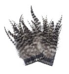 Kcf Feathers