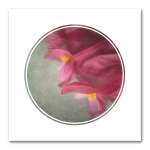 Foraged Texture Rounds 1 Art Print - 60 X 60CM No Frame Print Only