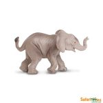 Wildlife African Elephant Baby