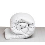 Lifson Linen Goose Feather & Down Duvet Inner
