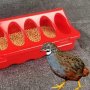 1 Piece Rutin Chicken Breeding Feeder Anti-spray Trough Food Box Quail Chicks Pigeon Food Box Feed Box