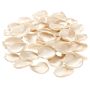 500 Piece Decorative Flower Petals - Artificial Champagne Rose Petals