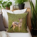 Jackal In Long Grass Luxury Scatter By Fanie Heymans