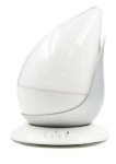 MicroWorld Atomiser – Plastic