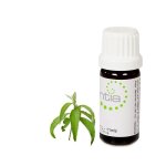 Escentia Camphor Pure Essential Oil - 20ML