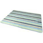 Picnic Mat Pvc