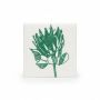 2 Ply Large Protea Print Paper Serviettes Dinner Napkins Pack Of 50