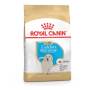 ROYAL CANIN Golden Retriever Puppy Dry Dog Food - 12KG