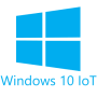 Pinnpos Windows 10 Iot Enterprise 2021 Individual Key Entry