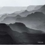 Parlour Cd