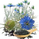 Black Cumin Seed Organic Carrier Oil Nigella Sativa - 500 Ml
