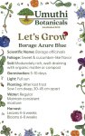 Umuthi Borage Edible Flowers Growing Seeds