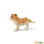 Wildlife Cheetah Cub