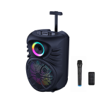 12" Portable Loudspeaker