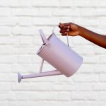 Watering Can - Pastels - Lavender