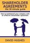 Shareholder Agreements: The 30 Minute Guide - How To Bulletproof Your Company With An Effective Shareholder Agreement   Paperback