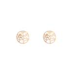 Goldair Gold Tree Of Life Stud Earrings