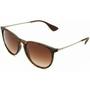 Ray Ban RB4171 Erika