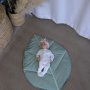 Themed Shaped Playmat MINI Carpet Leaf Shape