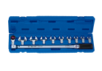 Torque Wrench Set Interchangeable 11PC 18 X 14MM 20-100NM