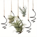6PCS With 6 2-METER Long Hemp Ropes Aluminum Small Vortex Air Plant Stand Adjustable Length Air Pineapple Flower Pot Soilless Pl