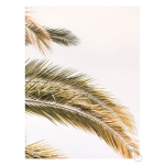 Oasis Palm 2 Art Print - A2