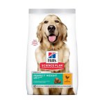 Canine Adult Perfect Weight Large Breed Chicken Dog Food - 12KG