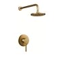 TTB012- Brass Shower Head And Mixer