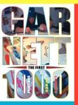 The First 1000 Paintings Of Sandy Garnett Hardcover