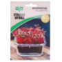 Ayres Red Microgreens Amaranth Seeds