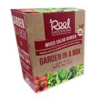 Mixed Salad Garden In A Box