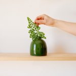 Lulu Vase - Forest Green - 12CM Height
