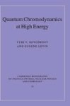 Quantum Chromodynamics At High Energy