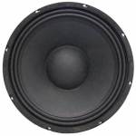 Myth 10" 8 300W Speaker Woofer 10M300