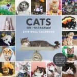 2019 Wall Calendar: Cats On Instagram Calendar