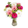 Gerbera Duo Bouquet