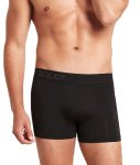 Boody Mens Everyday Boxer - Black - M