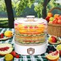 Commercial 5 Tray Food Dehydrator