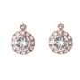 Brilliance Earring - Swarovski Clear Crystal-rosegold
