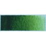 Arai Ara Acrylic Paint - 100 Ml - Sap Green Lake Extra