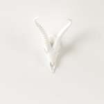 Impala Skull Medium - Gloss White