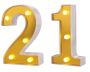 LED Number Tabletop Light -21