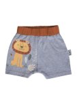 Safari Baby Shorts – Lion Print