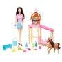 Mysteries The Great Horse Chase Pony And Accessories