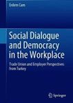 Social Dialogue And Democracy In The Workplace - Trade Union And Employer Perspectives From Turkey Hardcover 1ST Ed. 2019