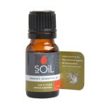 Organic Vetiver Essential Oil
