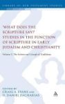 & 39 What Does The Scripture Say?& 39 Studies In The Function Of Scripture In Early Judaism And Christianity Hardcover New