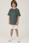 Cotton On Will Chino Short - Vanilla