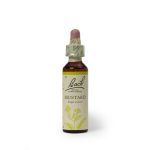 Mustard 20ML